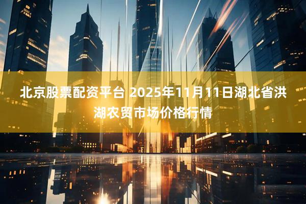 北京股票配资平台 2025年11月11日湖北省洪湖农贸市场价格行情